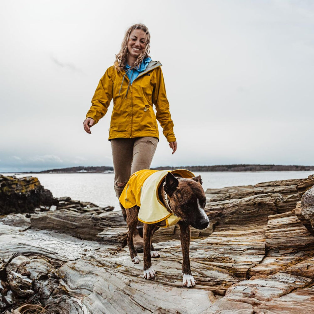 Ruffwear Sun Shower worn over a harness reveals quick-connect leash portal.