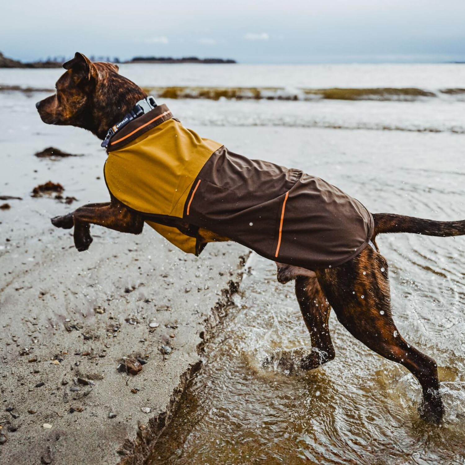 Ruffwear Sun Shower easy-on buckles for quick outfit changes on the move.