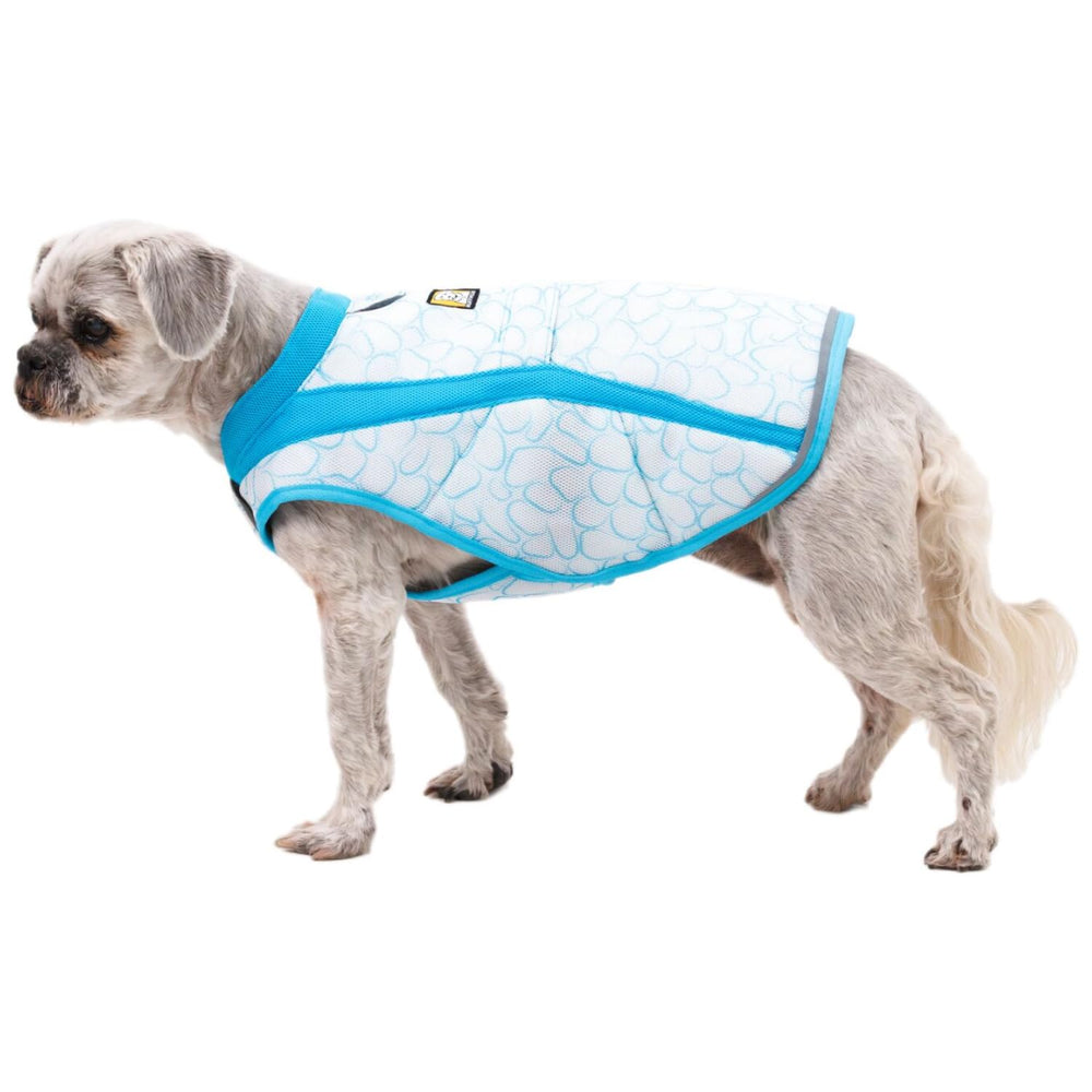 Ruffwear Swamp Cooler vest demonstrates compatibility with Front Range harness
