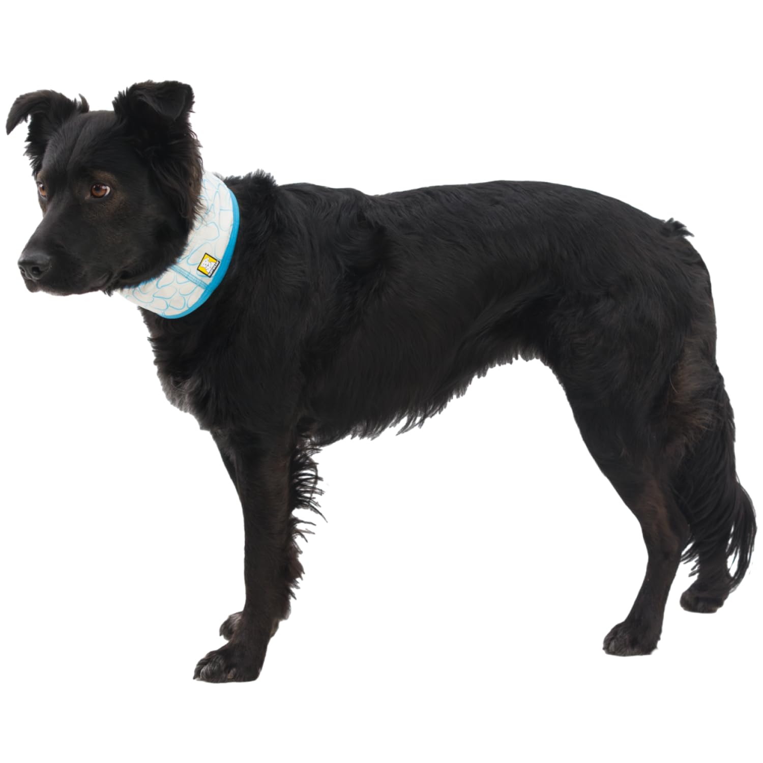 Ruffwear Swamp Cooler gaiter showcases reversible design for two looks.