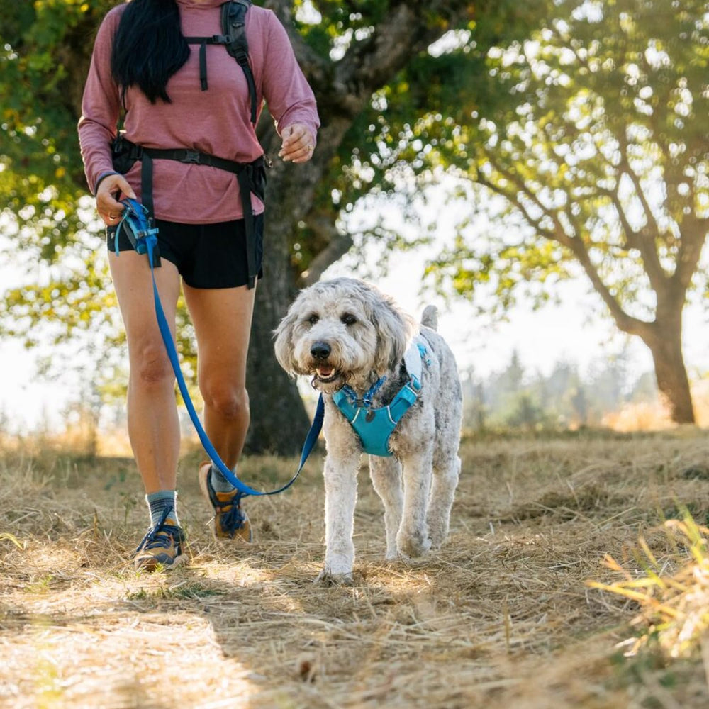 Ruffwear Swamp Cooler Harness six-point adjustment ensures secure, comfortable wear.