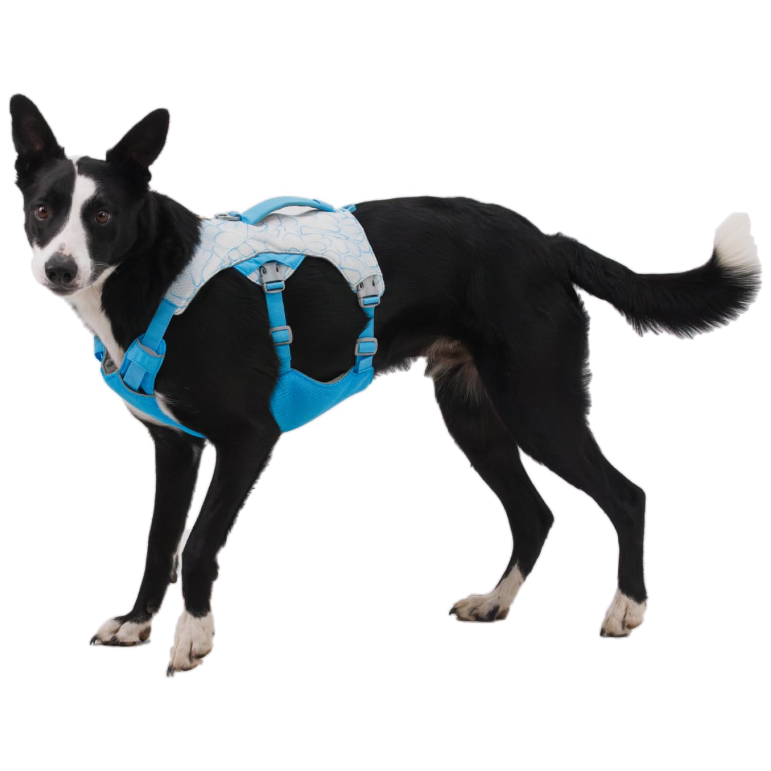 Ruffwear Swamp Cooler Harness reflective trim boosts visibility in low light.