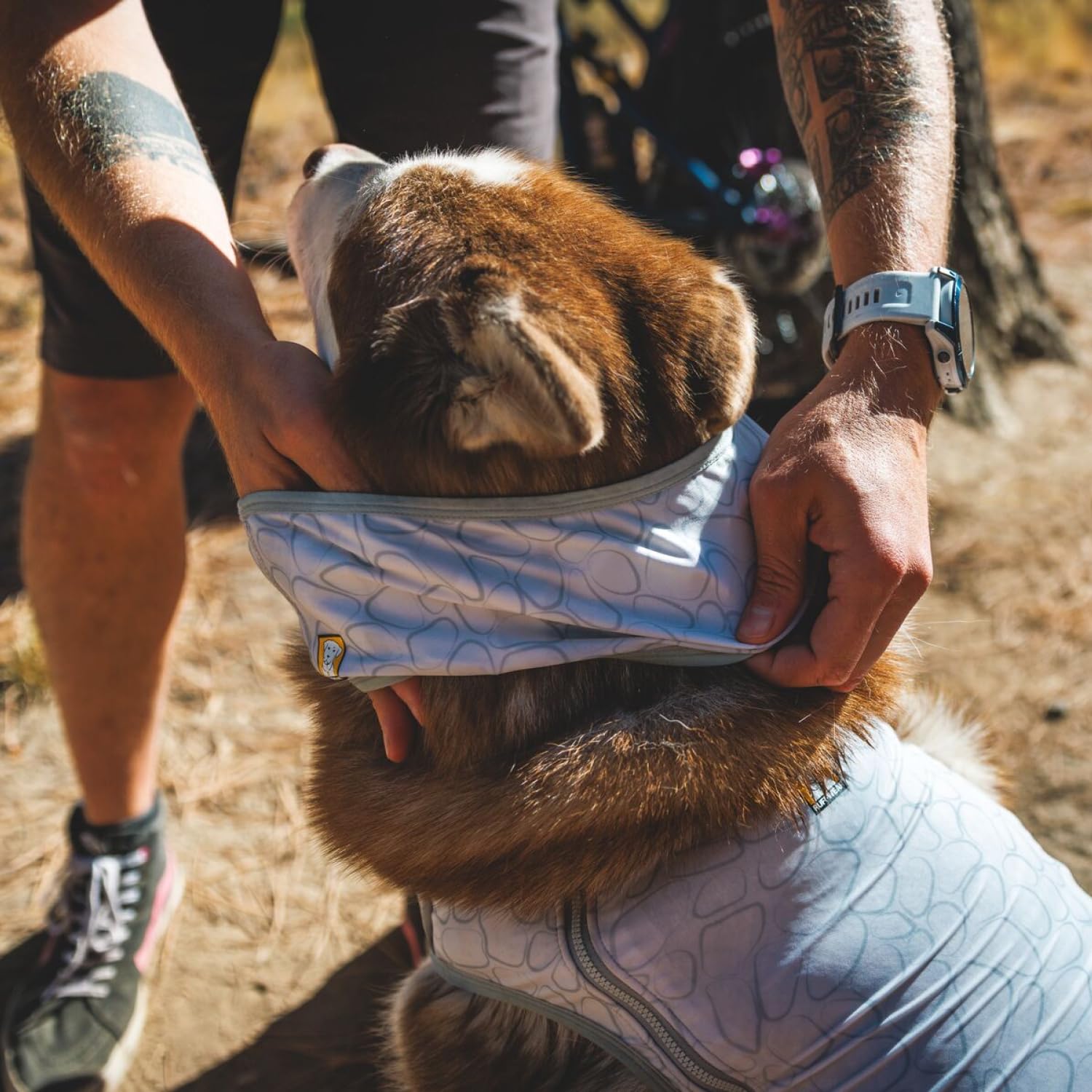 Ruffwear Biolumin Blue neck gaiter reversed design option.