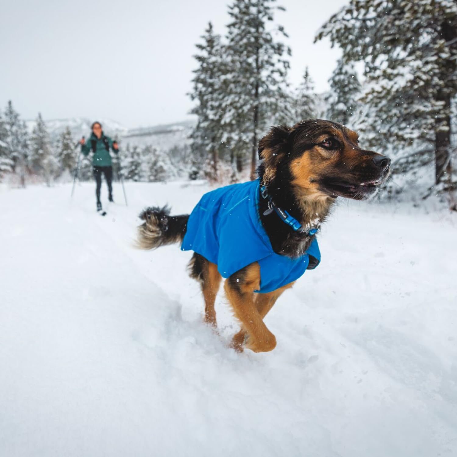 Ruffwear Top Rope Collar Blue Pool looks durable with a vibrant outdoor-inspired color.