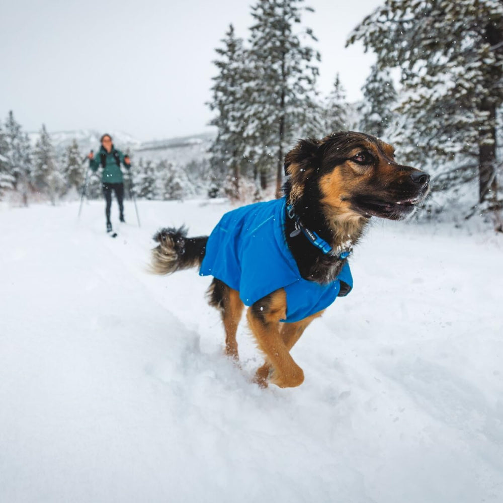 Ruffwear Top Rope Collar worn during an outdoor adventure with Basalt Gray color