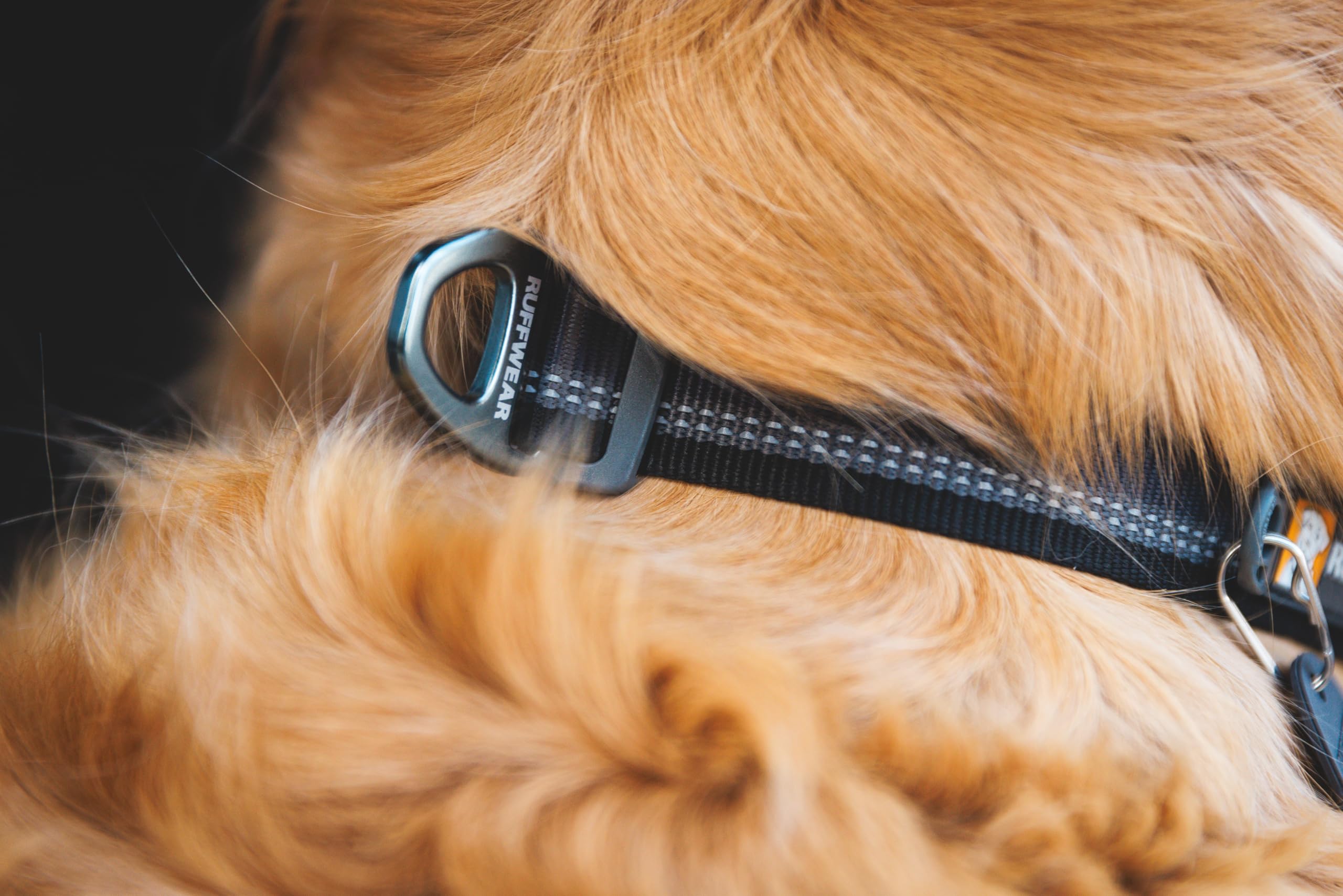 Ruffwear Top Rope Collar padding detail illustrating all-day comfort