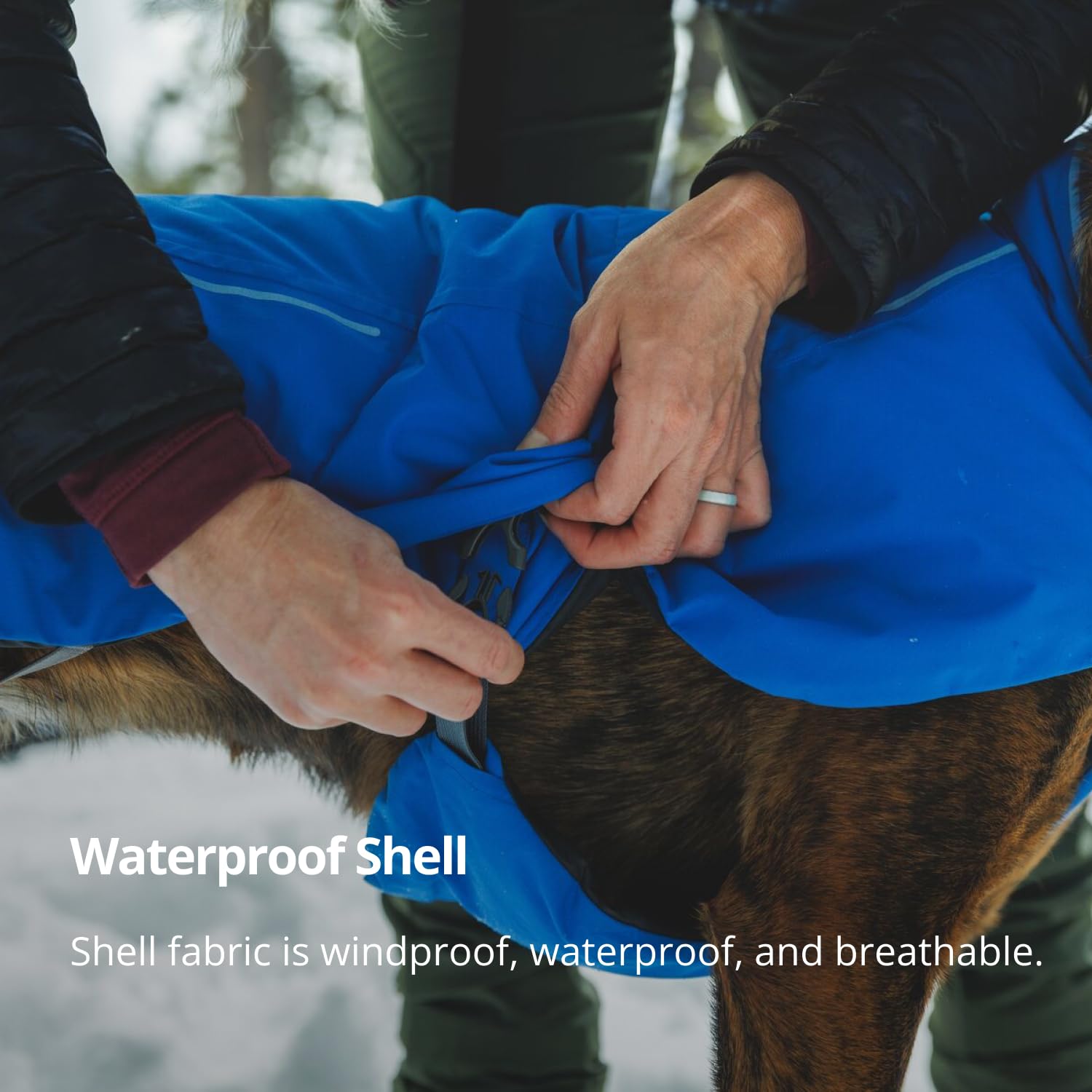 Ruffwear Vert Dog Winter Jacket demonstrates breathable shell for comfortable winter hikes