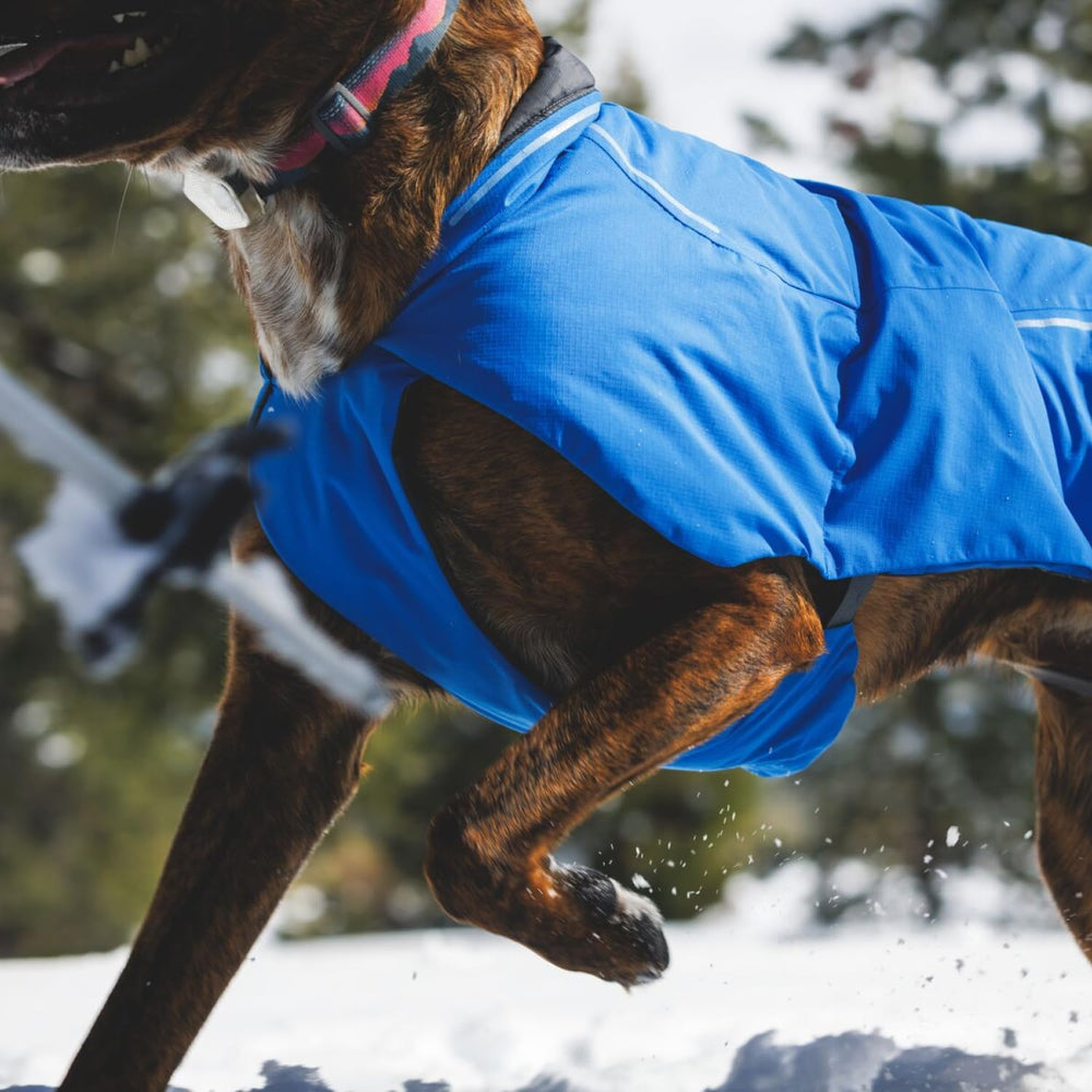 Ruffwear Vert Dog Winter Jacket insulation and soft lining for cozy warmth
