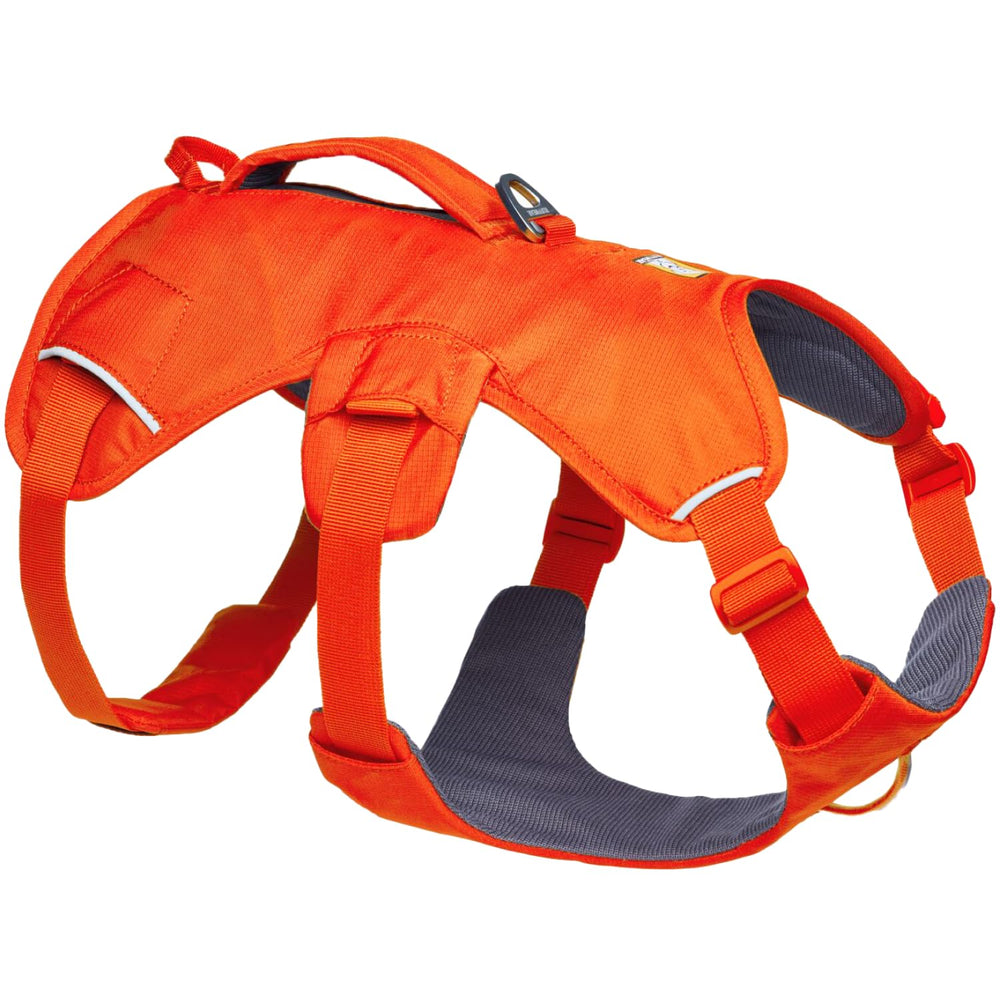 Ruffwear Web Master harness full-body design for balanced lifting support during mobility tasks.