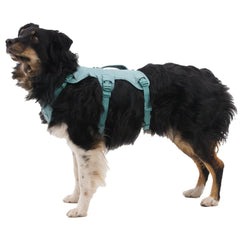 Ruffwear Web Master harness front clip view for versatile leash control