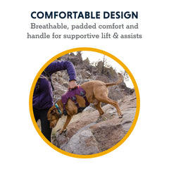 Ruffwear Web Master full-body support panel distributing weight evenly.
