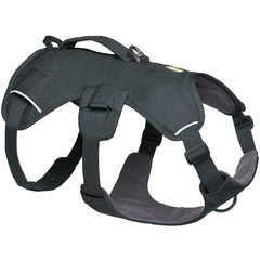 Ruffwear Web Master harness lift-handle offers balanced support for mobility tasks