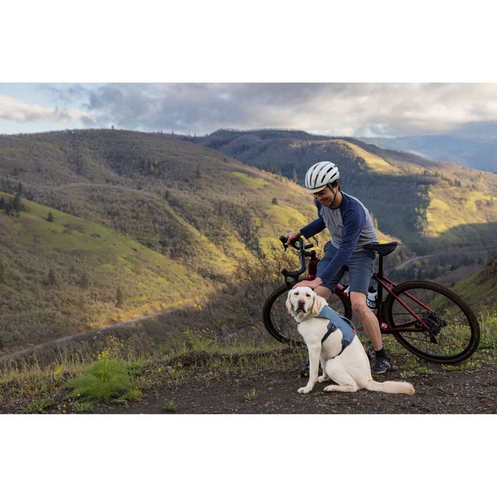 Ruffwear Web Master harness shows four-point adjustment for escape-resistant, snug fit.