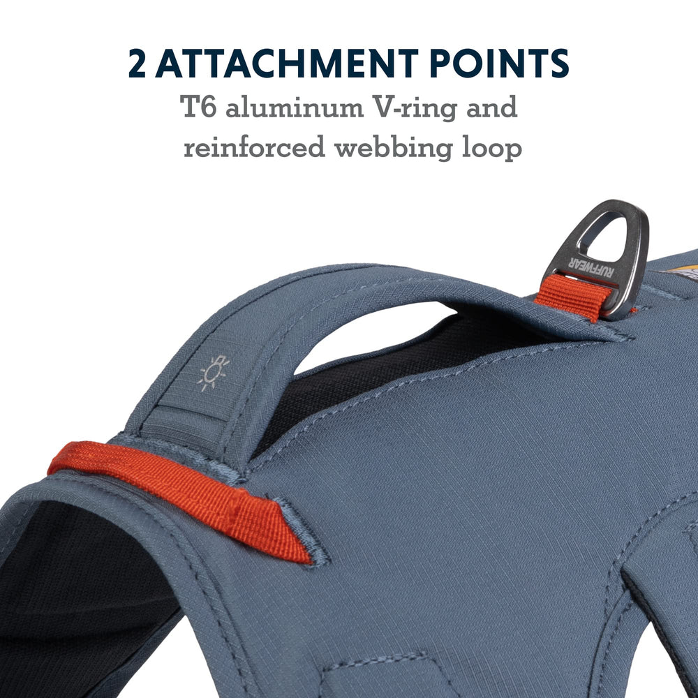 Ruffwear Web Master reflective trim improves visibility in low light.