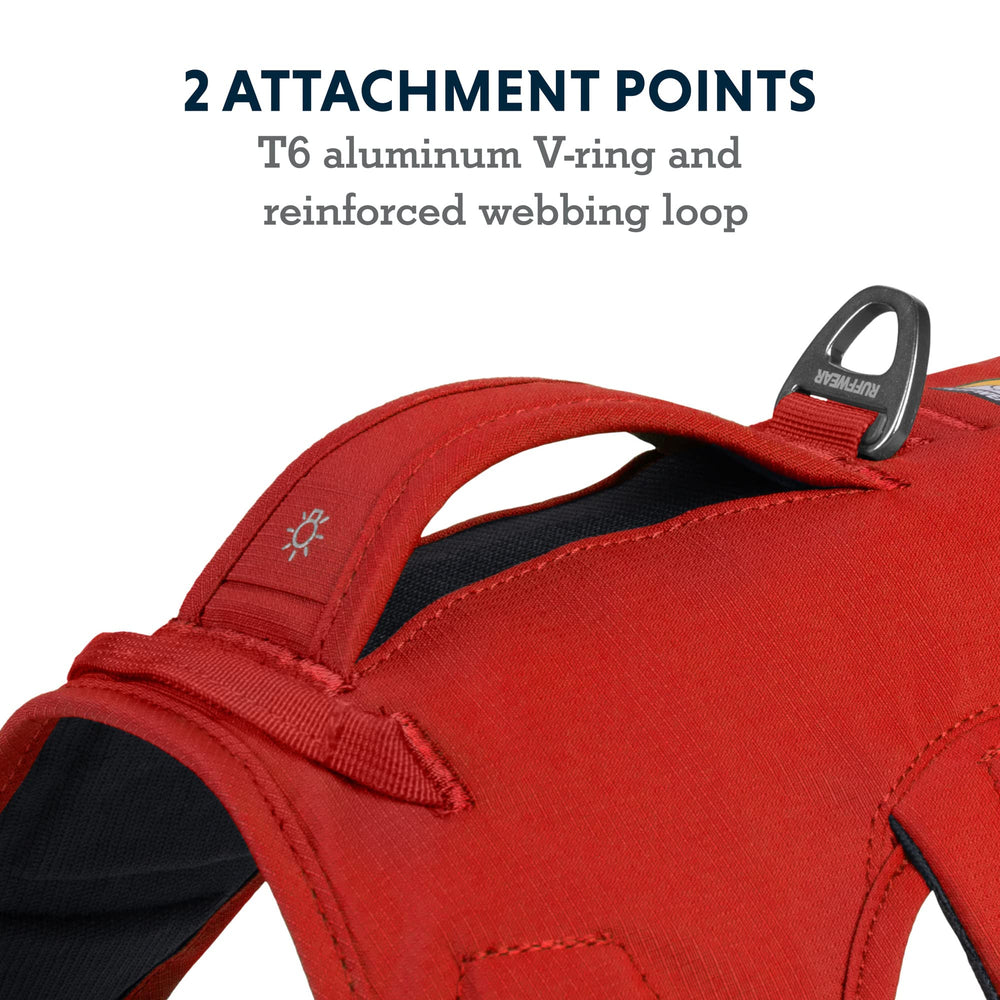 Ruffwear Web Master triple-leash-clips enable versatile control.