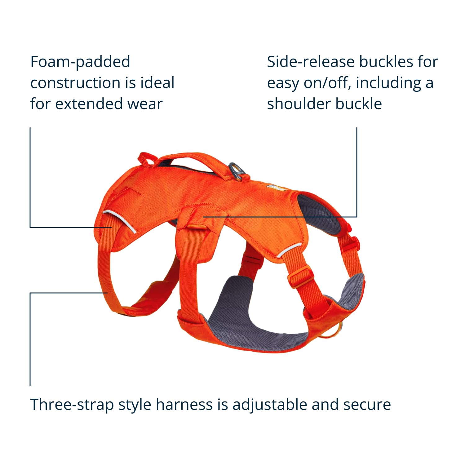 Ruffwear Web Master reflective trim and rugged materials boost visibility and durability.