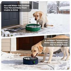 Rumjew heated water bowl 3L supports large dogs on outdoor adventures.