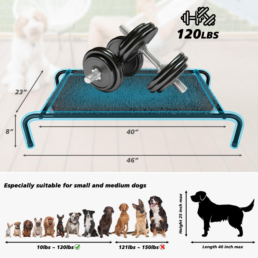 Rundik elevated bed eight inch height promotes air circulation around resting pet.