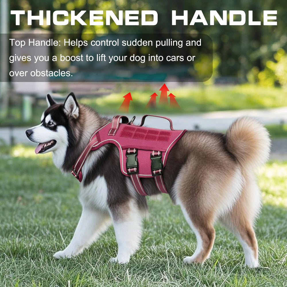 RunFido harness back with leash ring for daily walks and easy leash attachment.