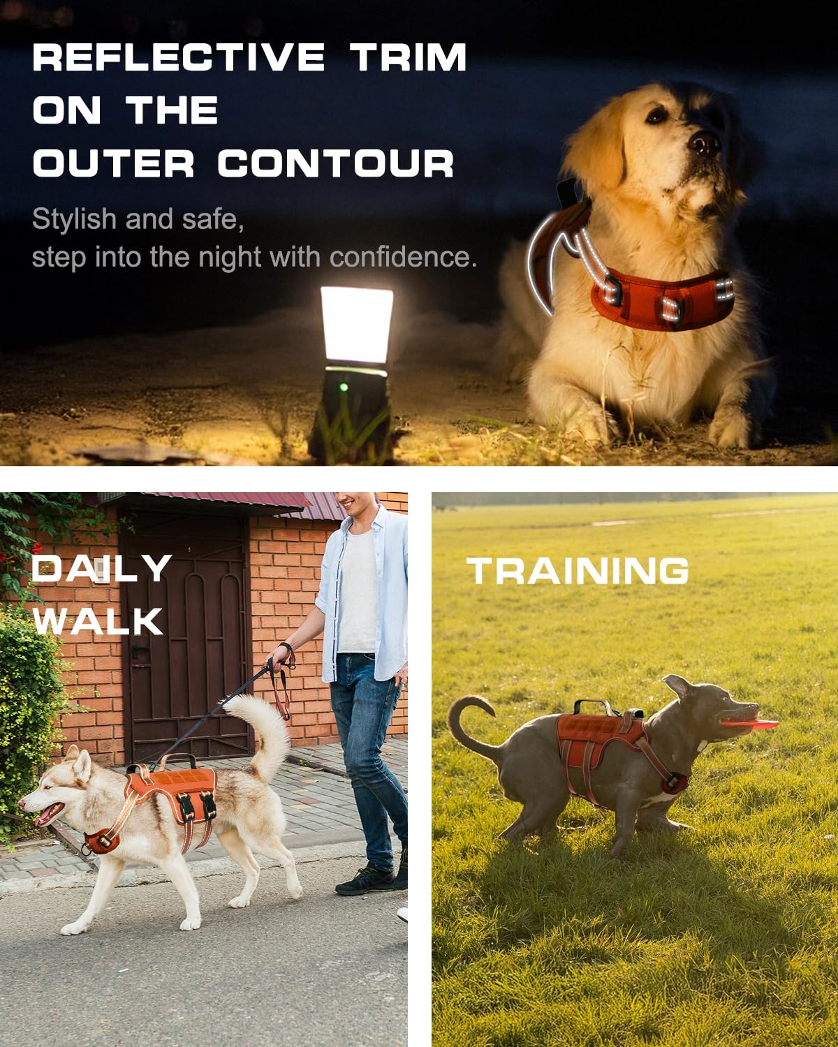 RunFido breathable padded mesh keeps large dogs comfortable on hikes.