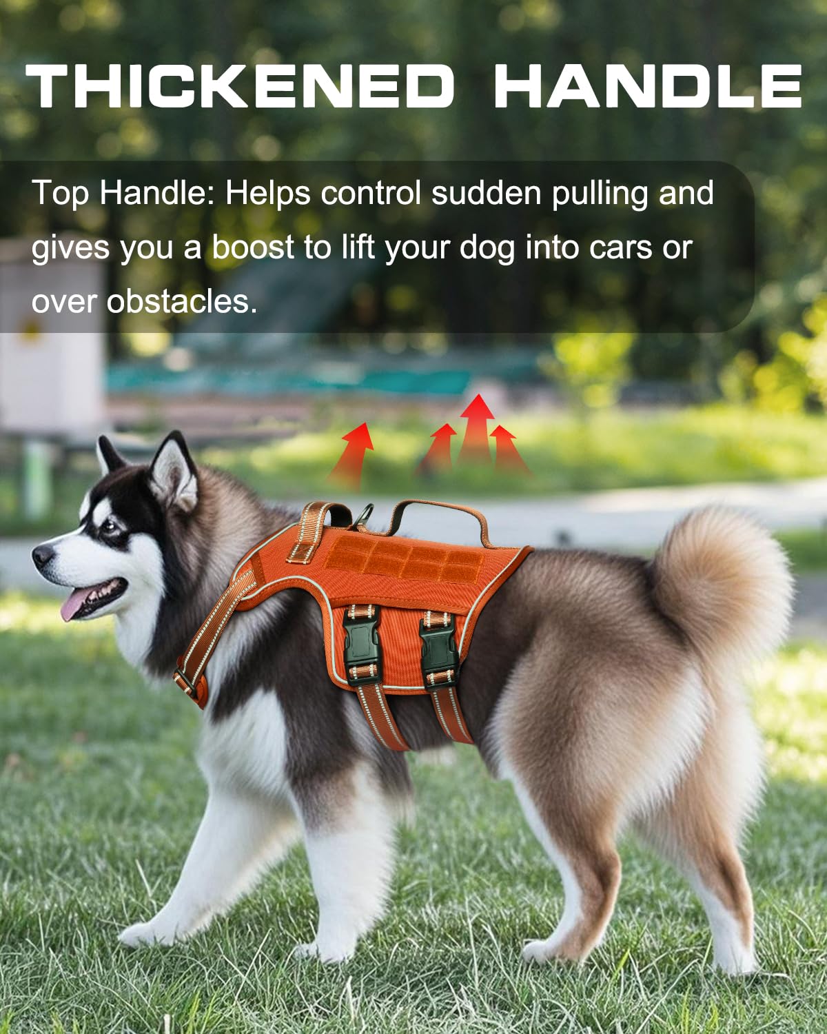 RunFido harness shows dual nylon handles for secure grip during training.