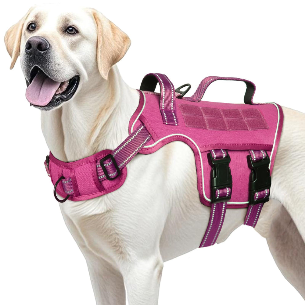 RunFido dog harness front view showing no pull control for training.