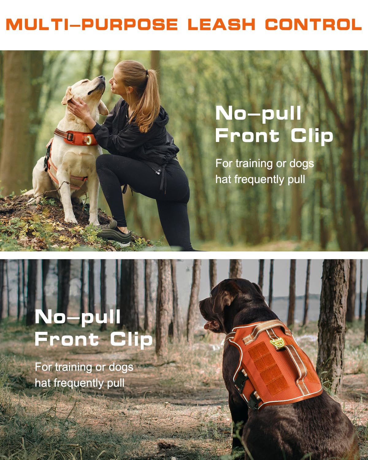 RunFido reflective night-walk harness improves visibility during evening outings.