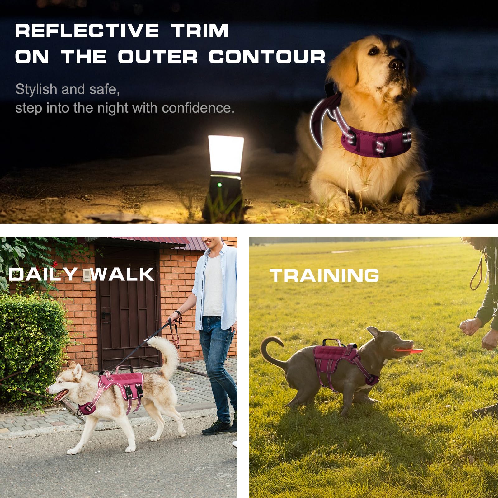 RunFido reflective strip on harness increases nighttime visibility and safety.