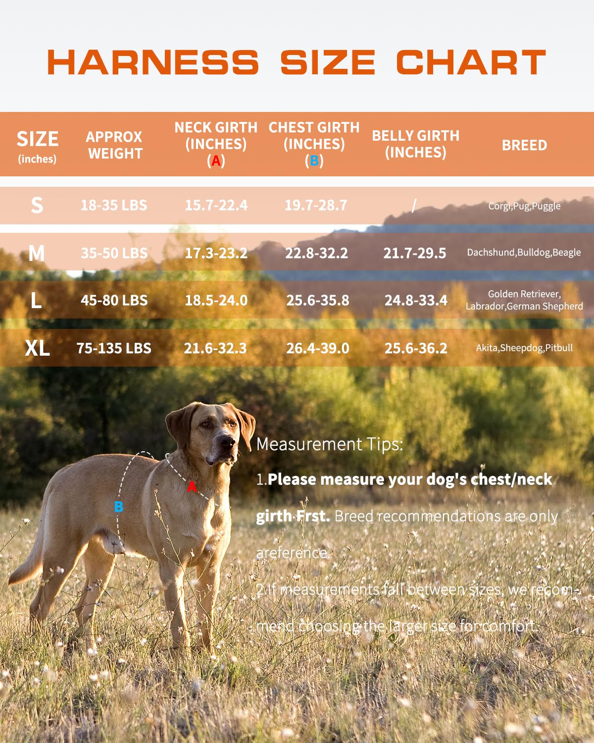 RunFido harness shown in training use for controlled movements and practice.