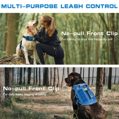 RunFido small dog harness no-pull front clip showing guided walking control