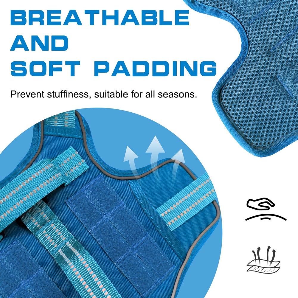 RunFido small dog harness padded mesh comfort highlights breathable padding