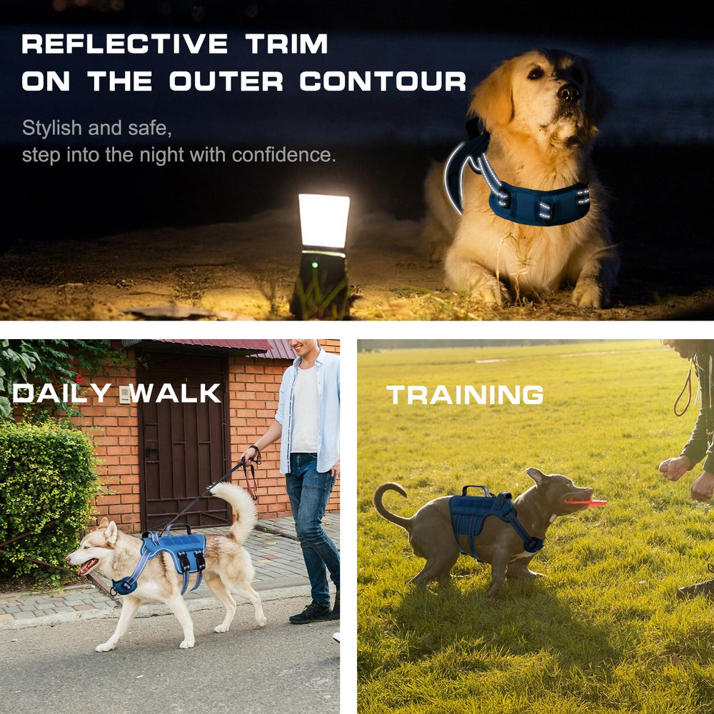 RunFido small dog harness reflective night safety for visibility during dusk walks