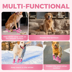 Runpaws indoor-outdoor warmth for winter walks and summer pavement protection