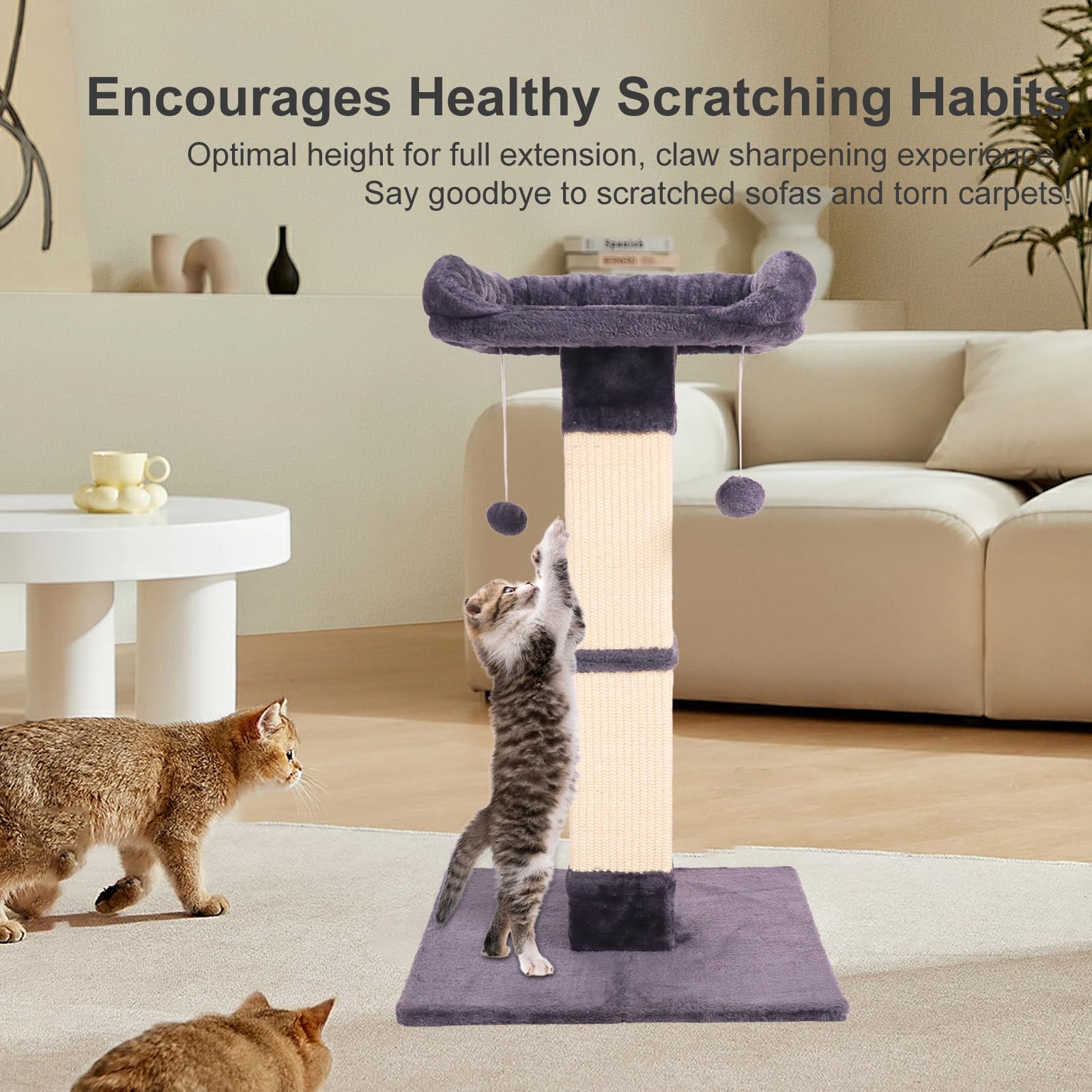 Runske cat scratching post plush bed—soft elevated perch for cozy naps