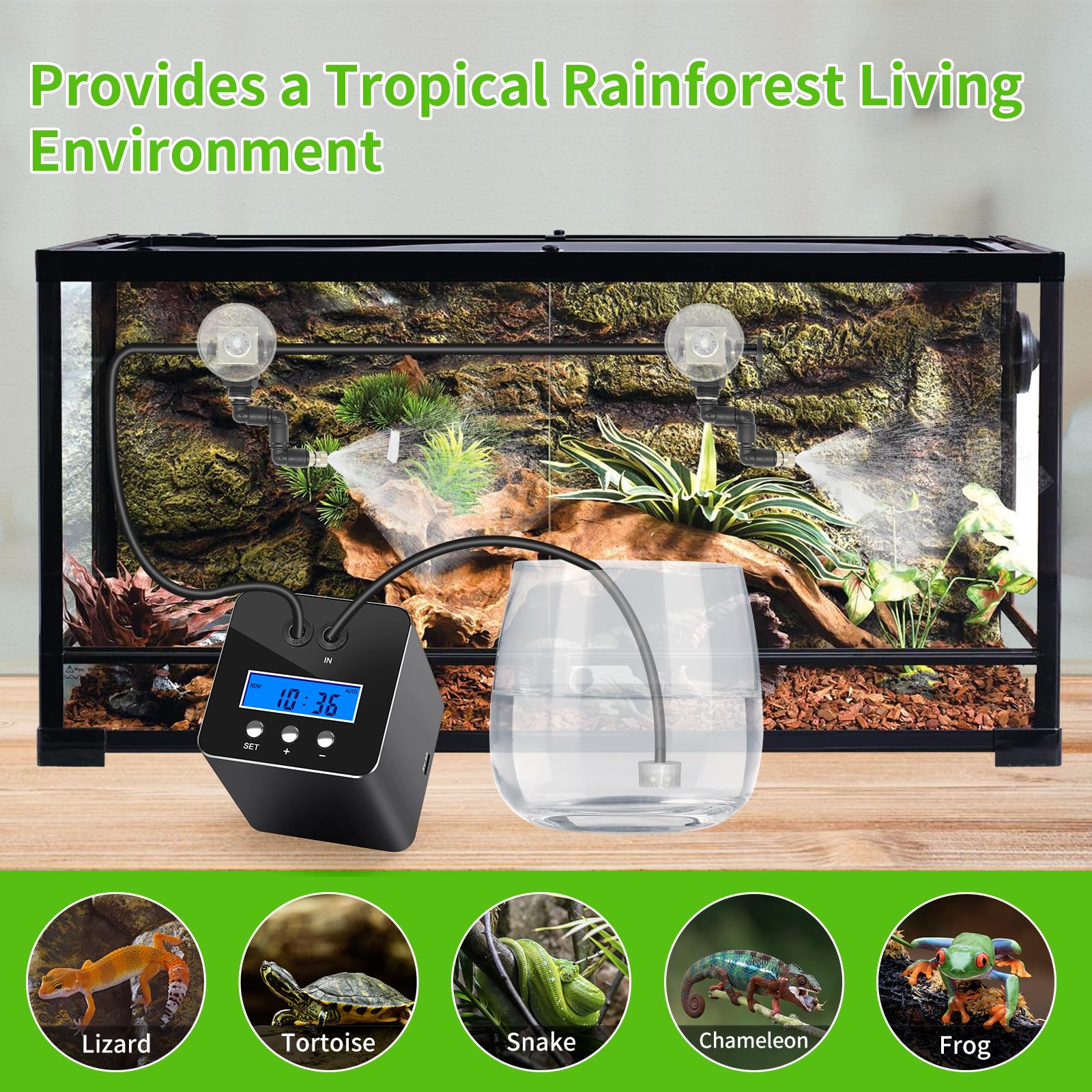 RUNWUSHENG reptile mister system mist dispersion over terrarium foliage