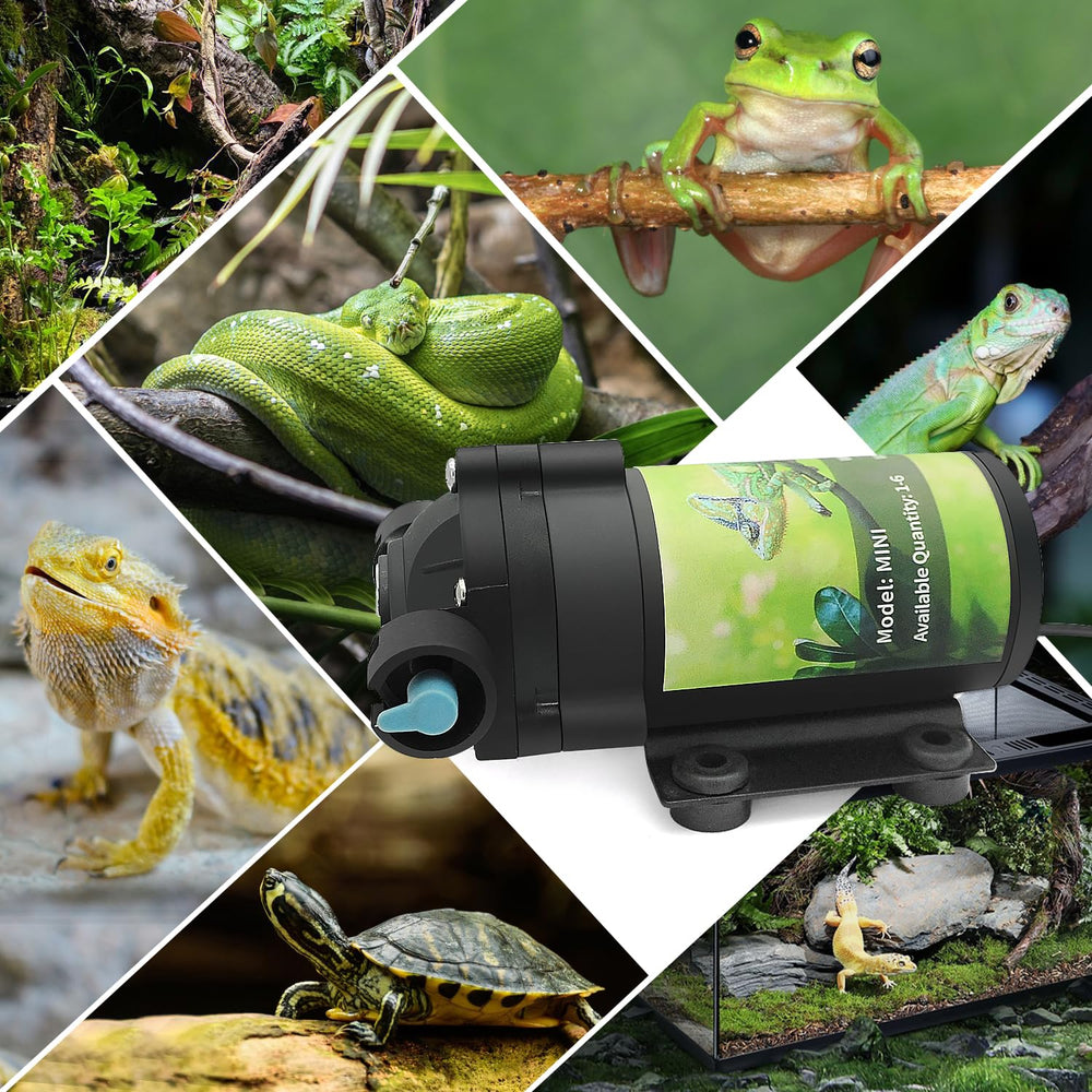RUNWUSHENG Reptile Mister System in-use example with multi-angle spray coverage.