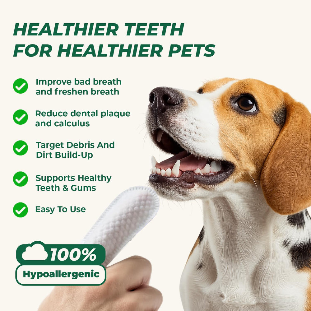 RunyePet Pet Dental Finger Wipes demonstrate gentle cleaning for dogs and cats.