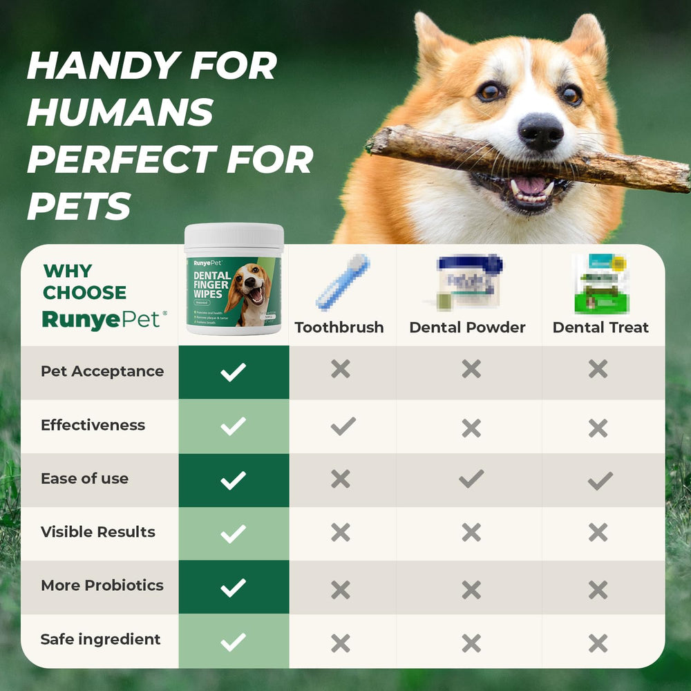 RunyePet travel-friendly dental care kit for on-the-go routines.
