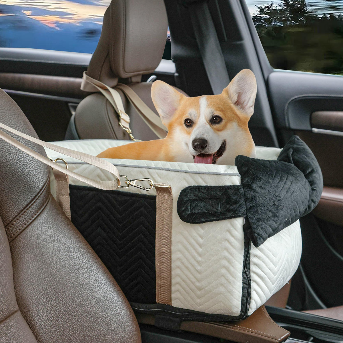 RUONARIER dog car seat small-compact-design keeps tiny dogs secure during car trips.