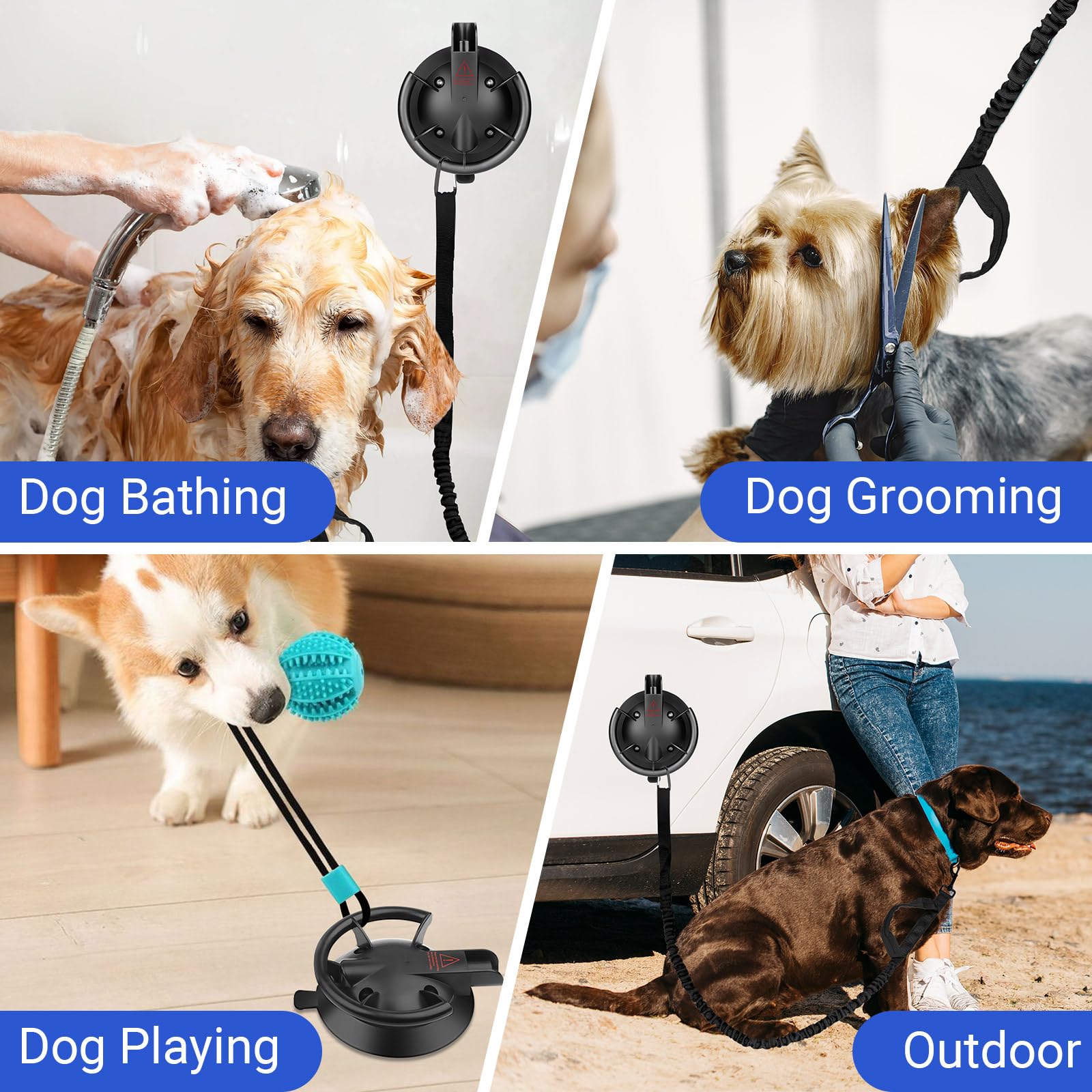 Ruppence tethered cup supports grooming, trimming, meals, and play.