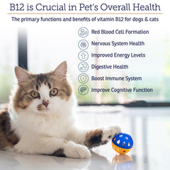 Rx Vitamins B12 dog-cat dosing easy shows simple mixing into meals for consistent intake.