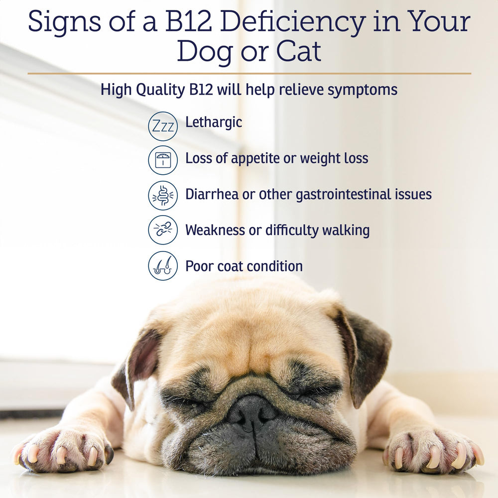 Rx Vitamins B12 energy boost suggests improved vitality for aging dogs and cats.