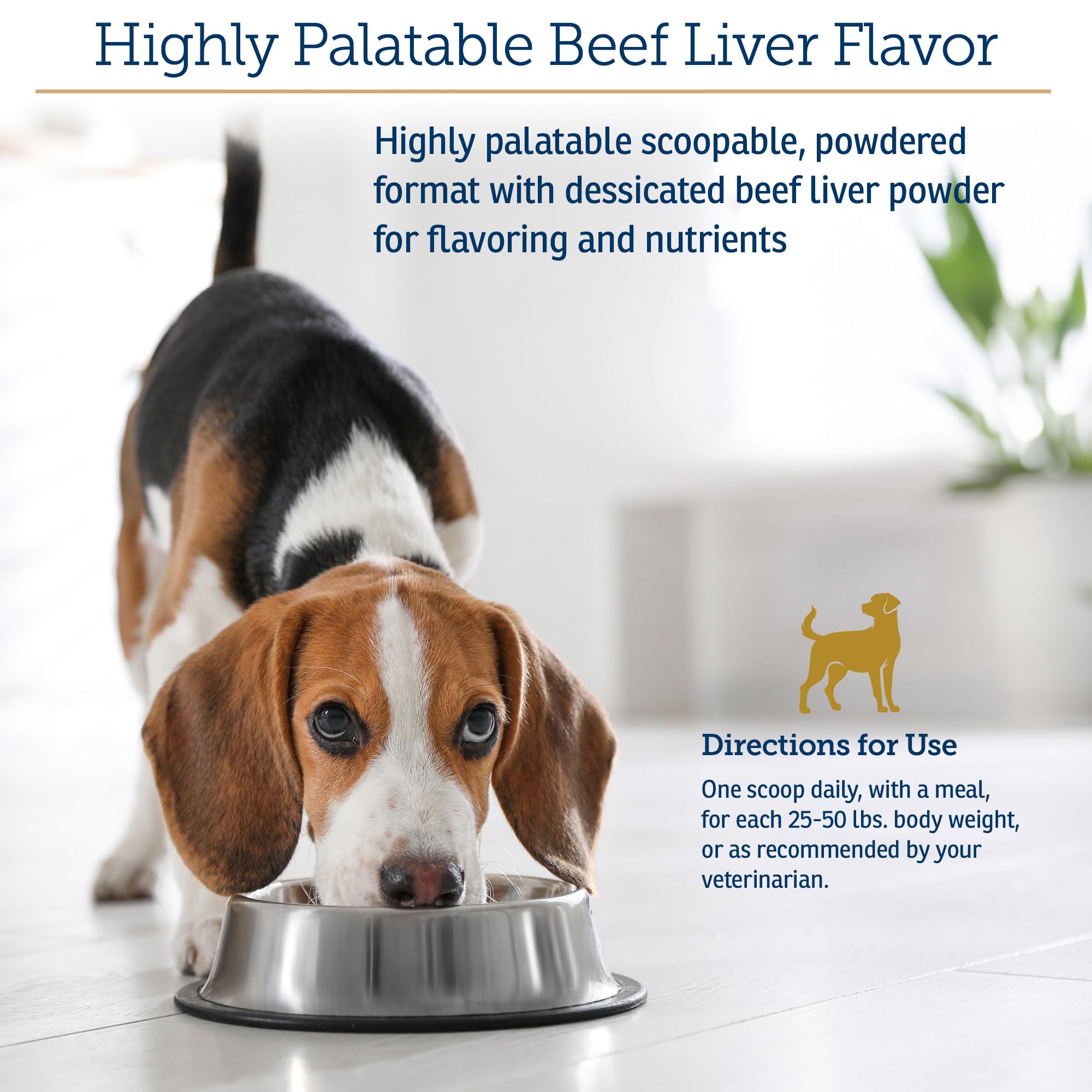 Rx Vitamins calcium-magnesium-zinc dog minerals scoop on top of dry food