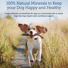 Rx Vitamins Canine Minerals powder dusting over dog food for daily nourishment.