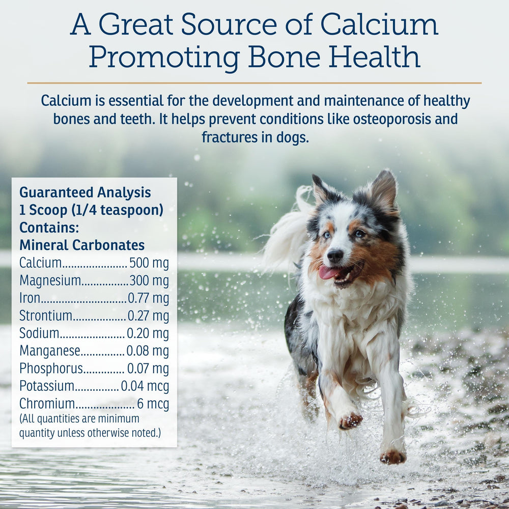 Rx Vitamins Canine Minerals vet-approved seal indicating trusted quality.