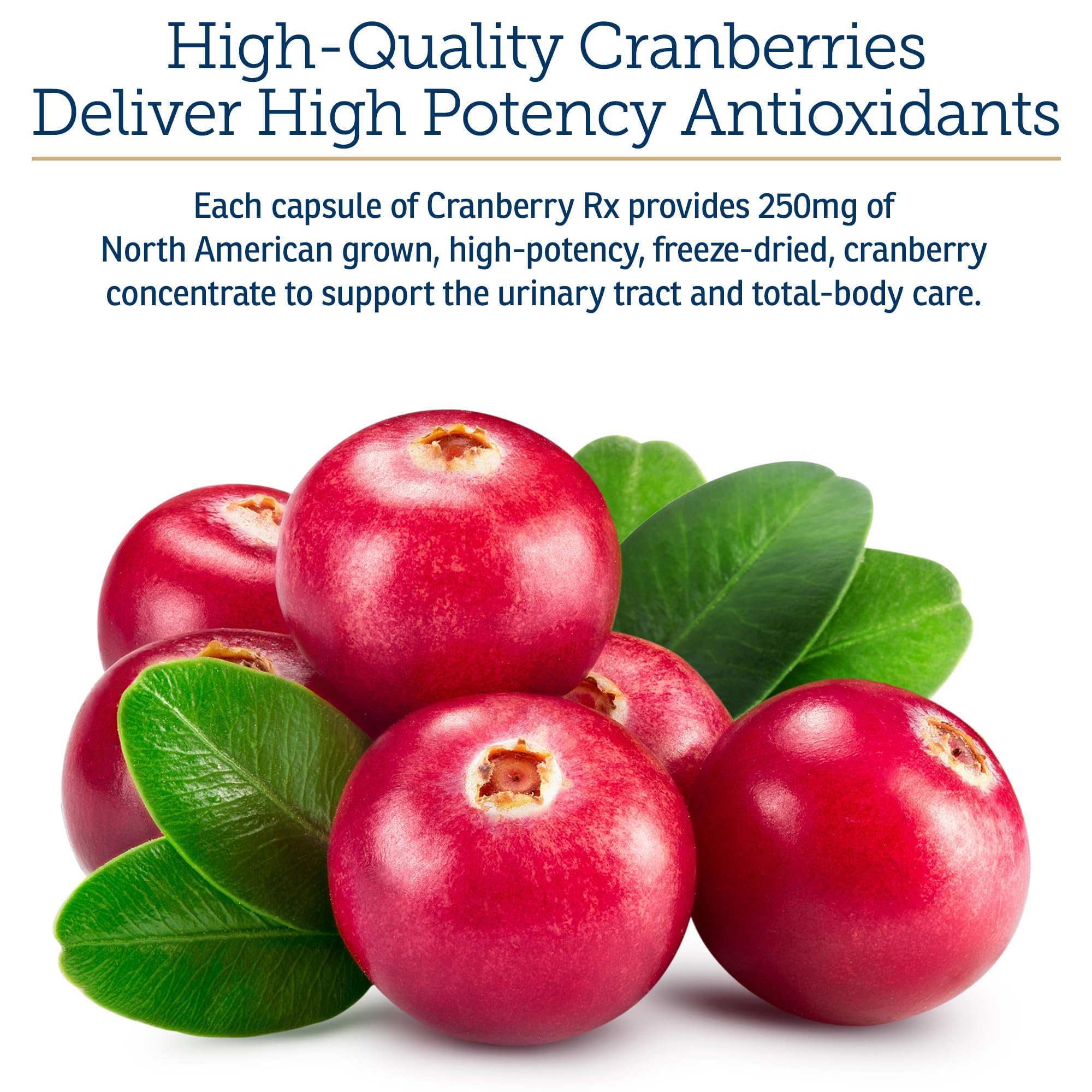 Rx Vitamins Cranberry Capsules pour-on food method facilitating simple administration