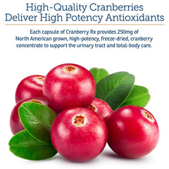 Rx Vitamins Cranberry Capsules pour-on food method facilitating simple administration