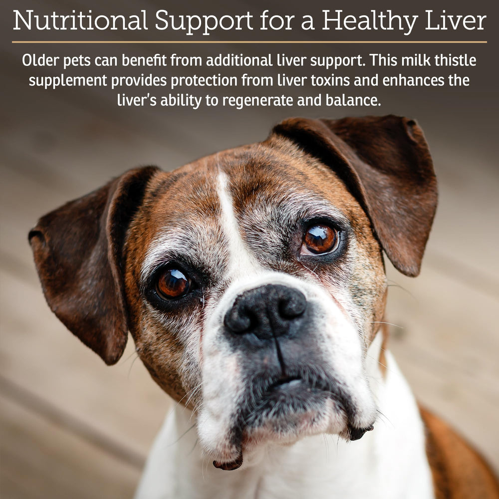 Rx Vitamins Hepato Support capsules provide simple daily dosing for dogs and cats.