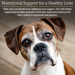 Rx Vitamins Hepato Support capsules provide simple daily dosing for dogs and cats.