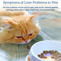 Rx Vitamins Hepato Support packaging highlights USA-made liver care for seniors.